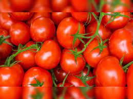 Centre reduces subsidised rate of tomato to Rs 80 per kg with immediate effect in Delhi-NCR, other locations