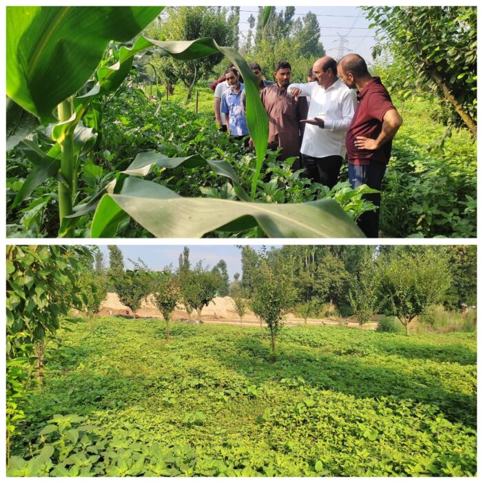 Director Agriculture visits Khuthipora, B.K. Pora Budgam
