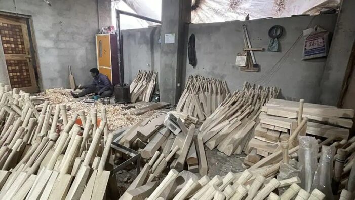As Cricket World Cup Fever Grips India, Bat Manufacturers In J&K Struggle To Meet Demand
