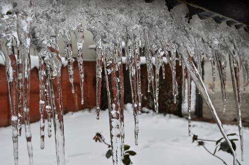 Mercury plummets after fresh snowfall, Sonamarg coldest at minus 15.1 degree Celsius Mercury plummets after fresh snowfall, Sonamarg coldest at minus 15.1 degree Celsius