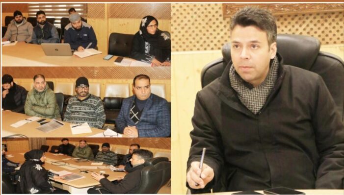DC Srinagar chairs DLIC meet on implementation of PM Vishwakarma; Accords approval for 295 cases