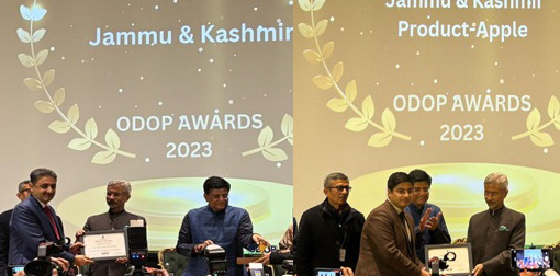 Jammu and Kashmir clinches gold at National ODOP awards 2023