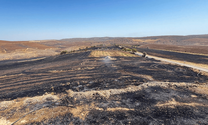 Wildfire kills 11 in Turkiye’s Kurdish region