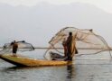 Fisheries Contribute 7.43 Per Cent to Agricultural GVA, Centre Tells Rajya Sabha Fisheries Contribute 7.43 Per Cent to Agricultural GVA, Centre Tells Rajya Sabha