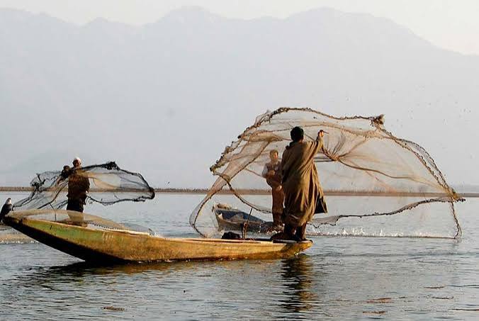 Fisheries Contribute 7.43 Per Cent to Agricultural GVA, Centre Tells Rajya Sabha Fisheries Contribute 7.43 Per Cent to Agricultural GVA, Centre Tells Rajya Sabha